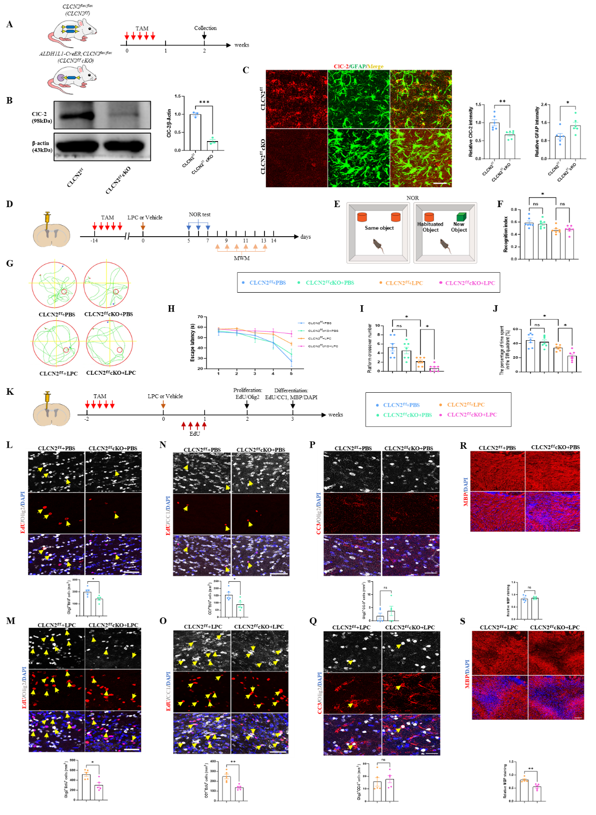 image-20250825164003-3