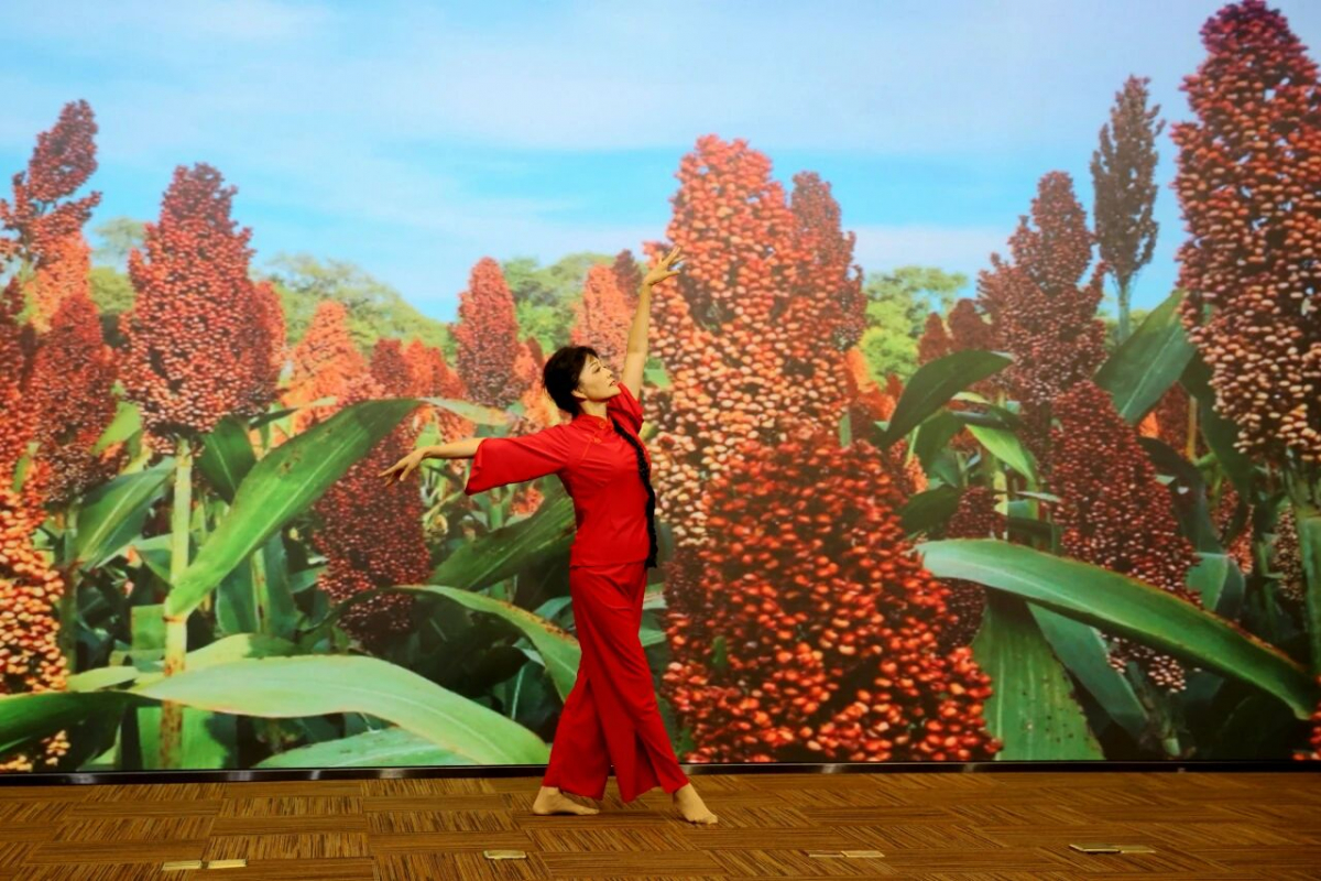 image-20251103083701-6