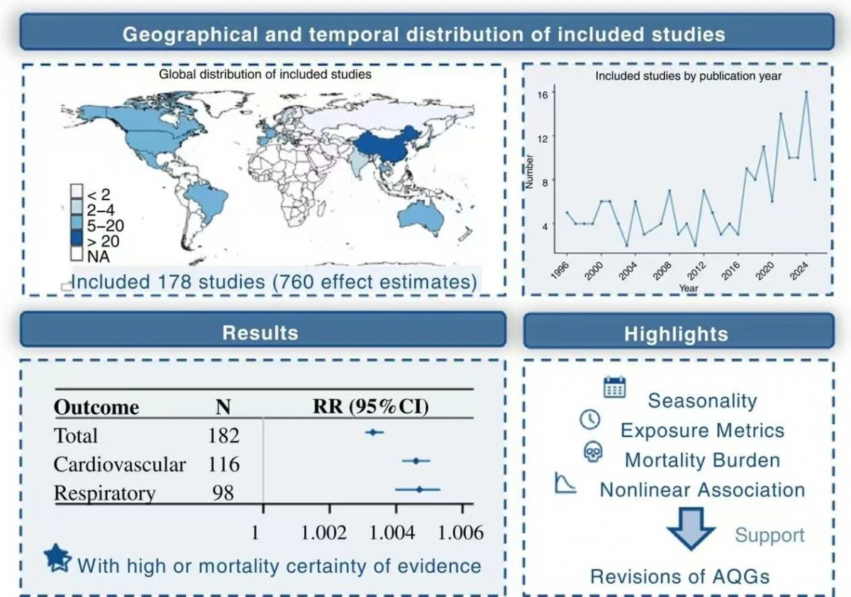 image-20251225081526-1