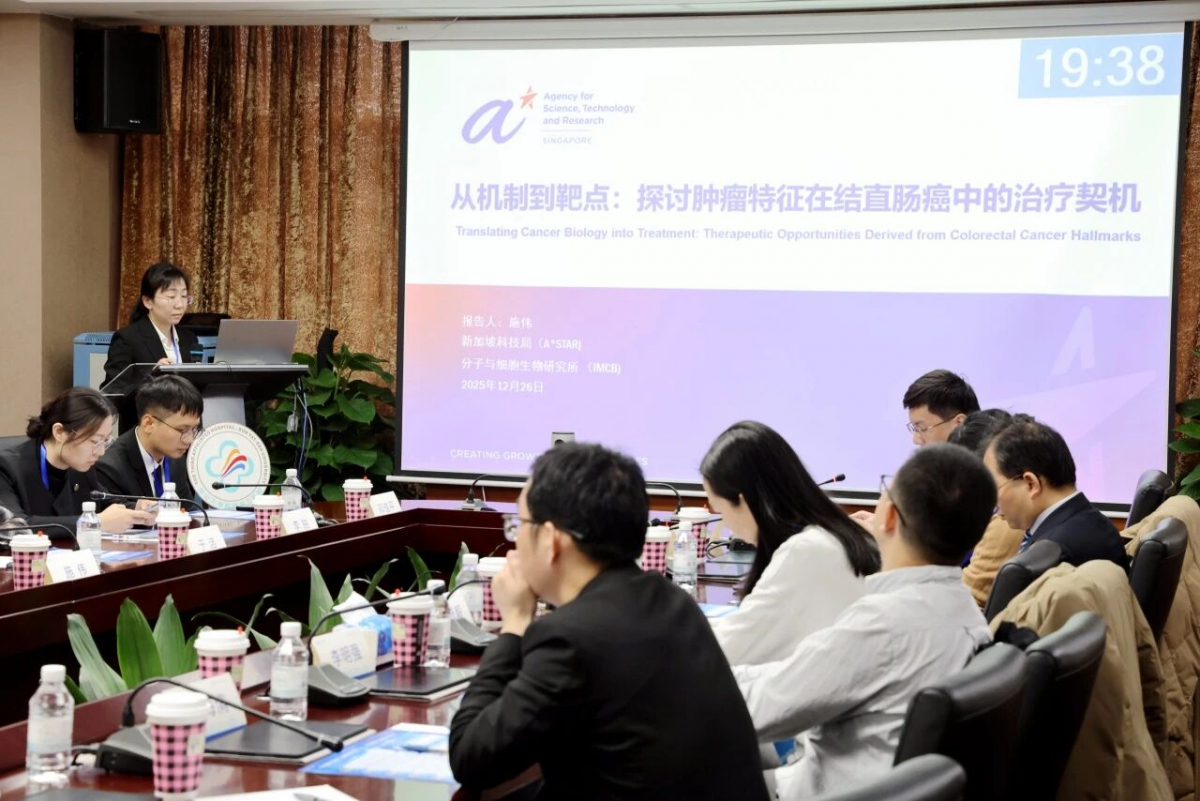 image-20251229082226-3