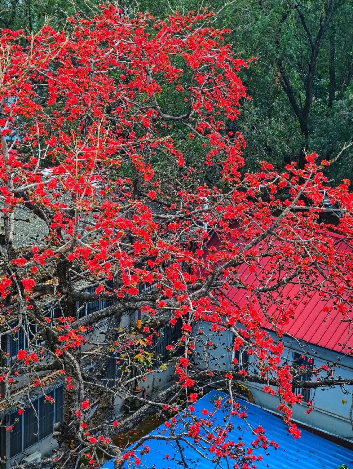 image-20260225092408-2