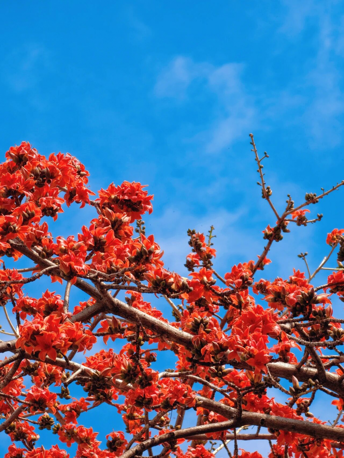 image-20260225092419-3