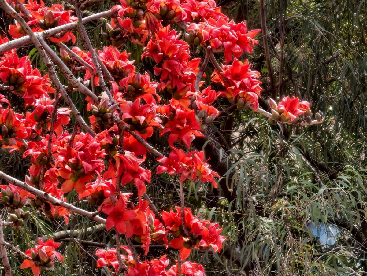 image-20260225092600-6