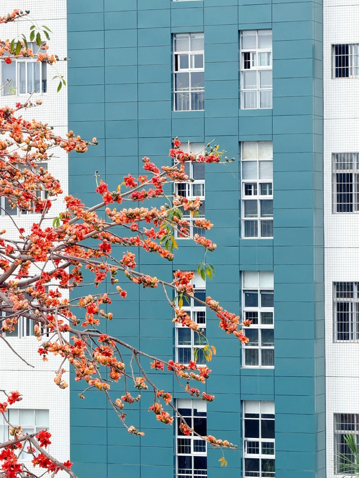 image-20260225092624-8