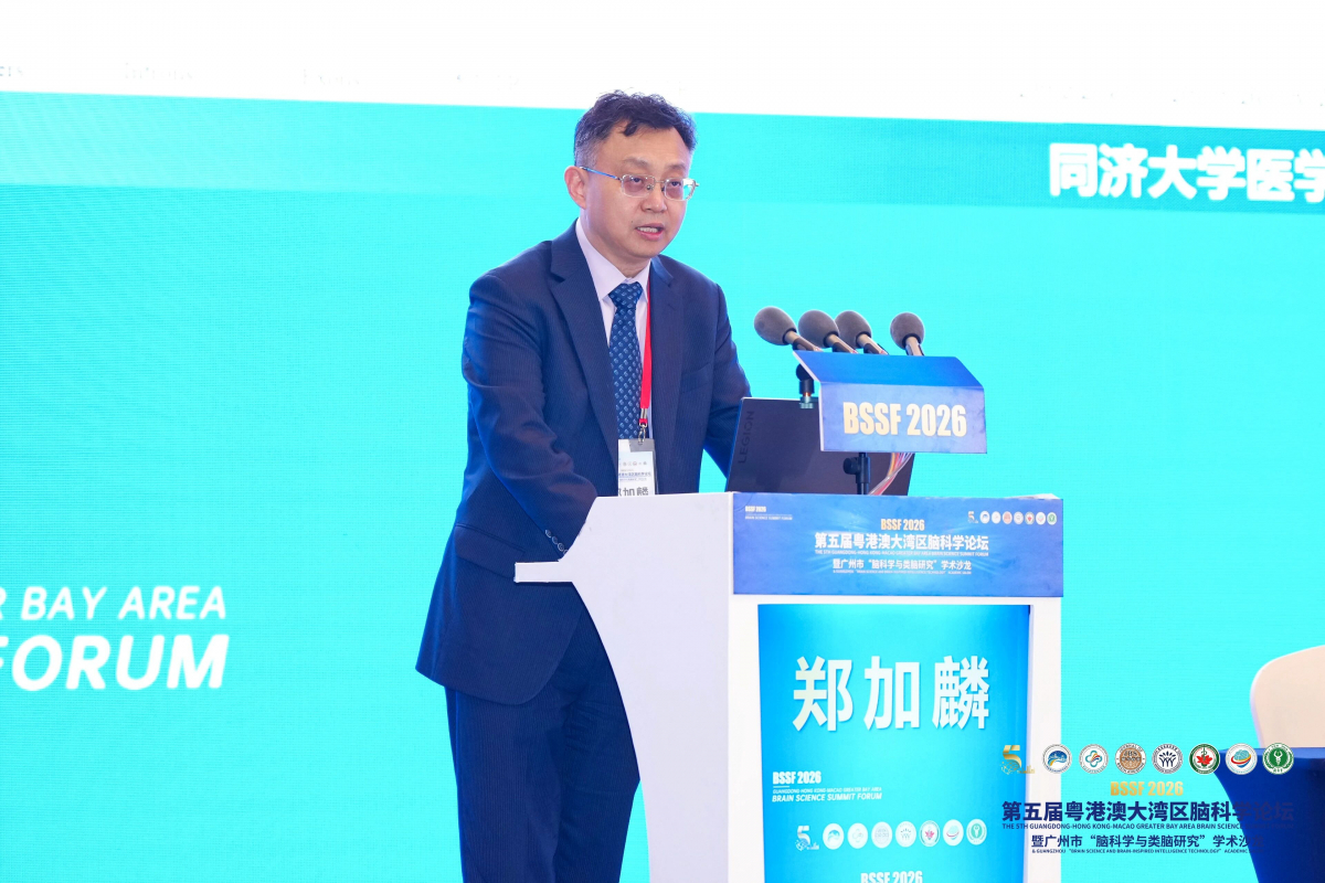 image-20260330165405-9