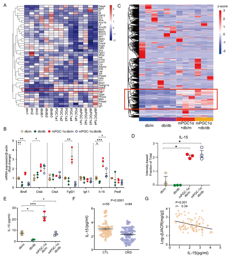 image-20260403173500-4