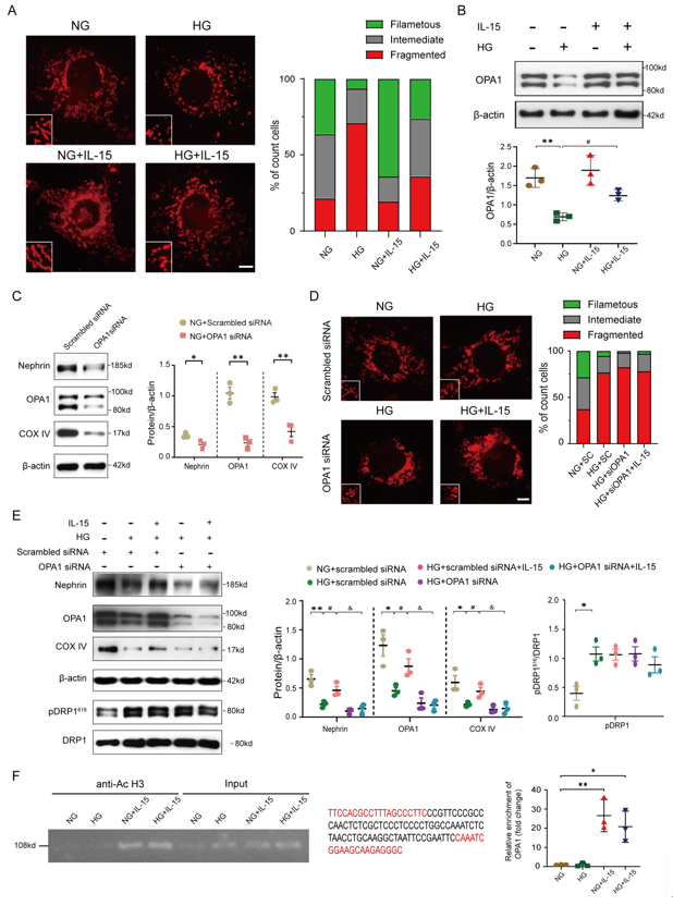 image-20260403173521-5