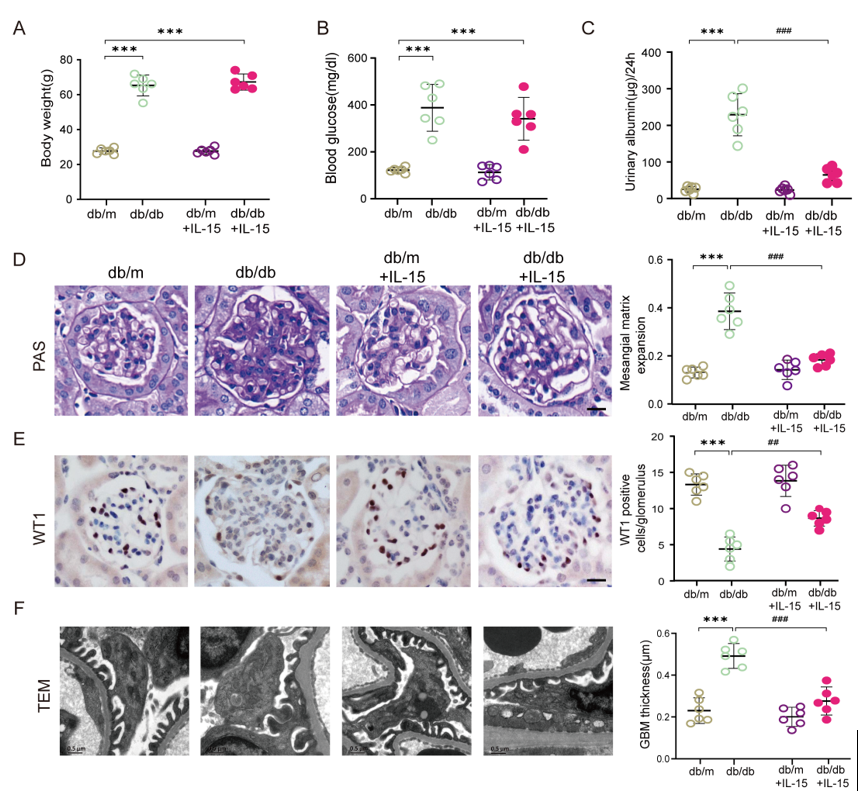 image-20260403173540-6