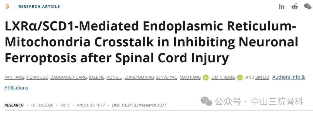 image-20260408162220-1