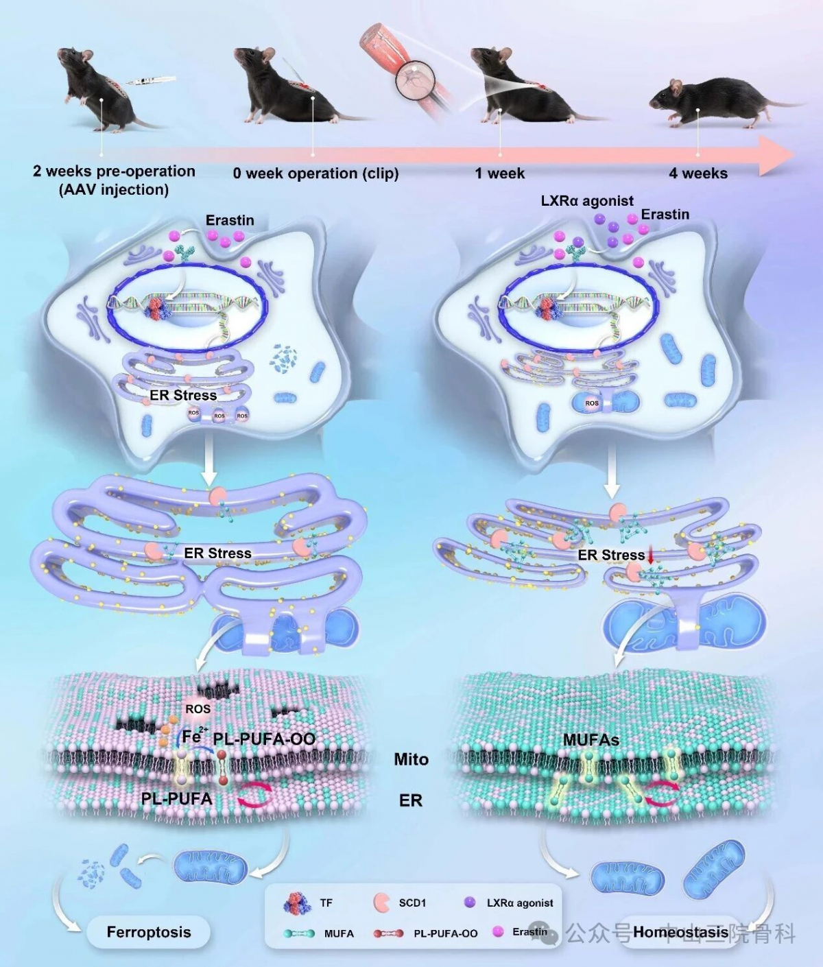 image-20260408162236-3