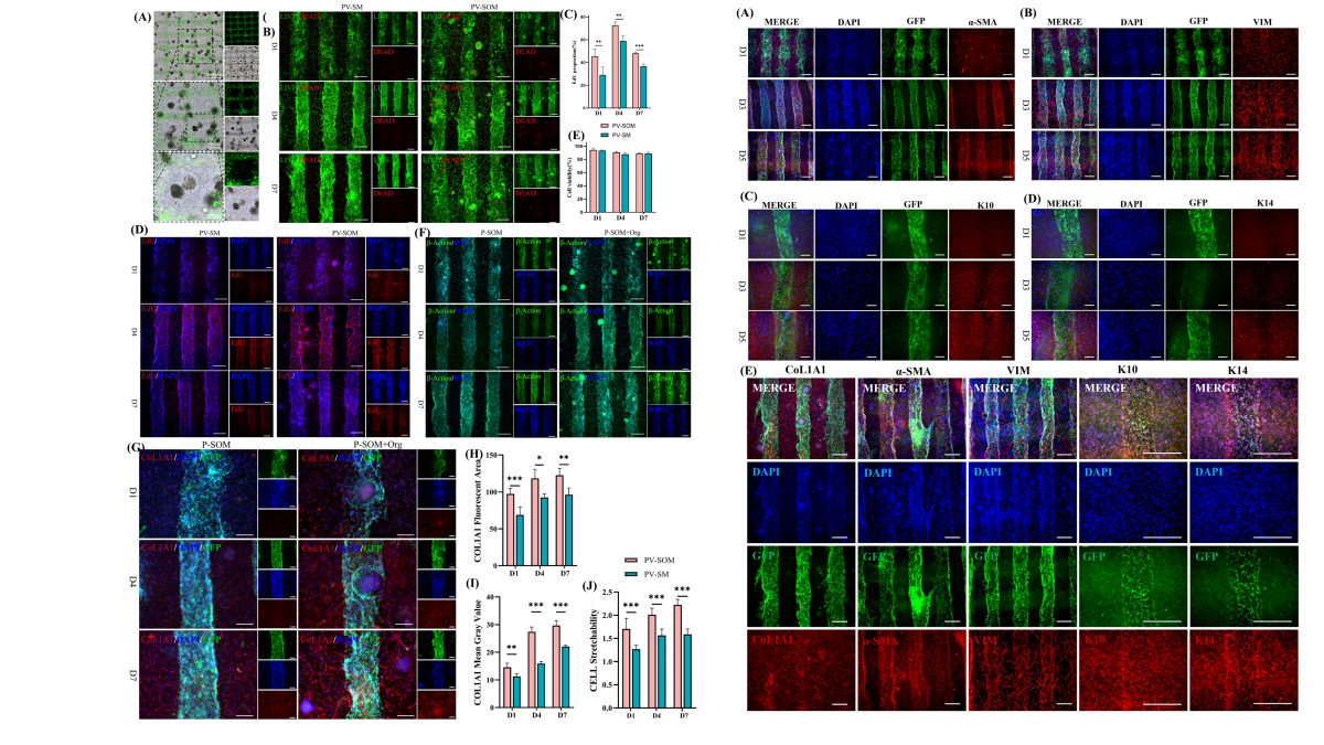 image-20260430173012-6