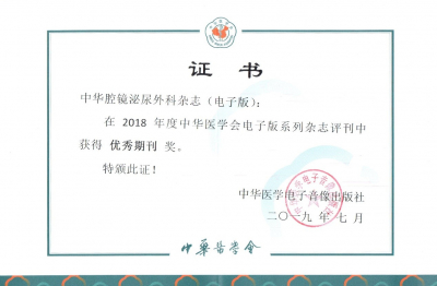 《中华腔镜泌尿外科杂志（电子版）》2018年度优秀期刊